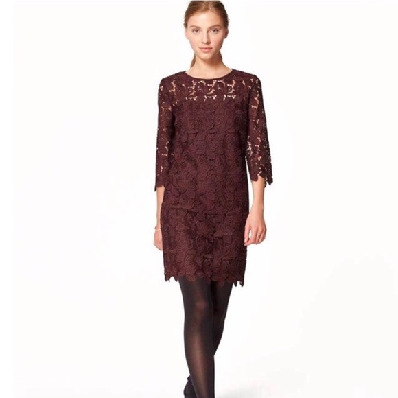 NWT LOFT Wine Lace Cocktail Dress - Picture 1 of 5